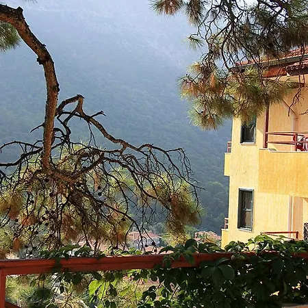 Bellevue Hotel 3*
