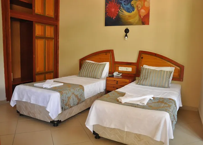 Bellevue 올루데니스