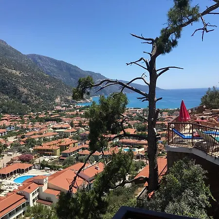 ホテル Bellevue 3*