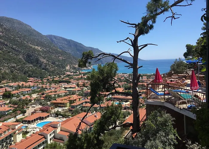 Отель Bellevue 3*